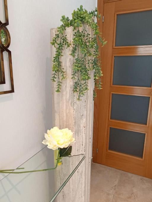 Bungalow En Primera Linea Del Mar Arenales del Sol Ngoại thất bức ảnh